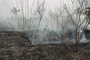 Un bombero trabaja para extinguir las llamas el pasado mes de septiembre en un incendio forestal en la región del Amazonas de Cacau Pirêra, Iranduba, región Metropolitana en Manaos (Brasil). EFE/ Raphael Alves