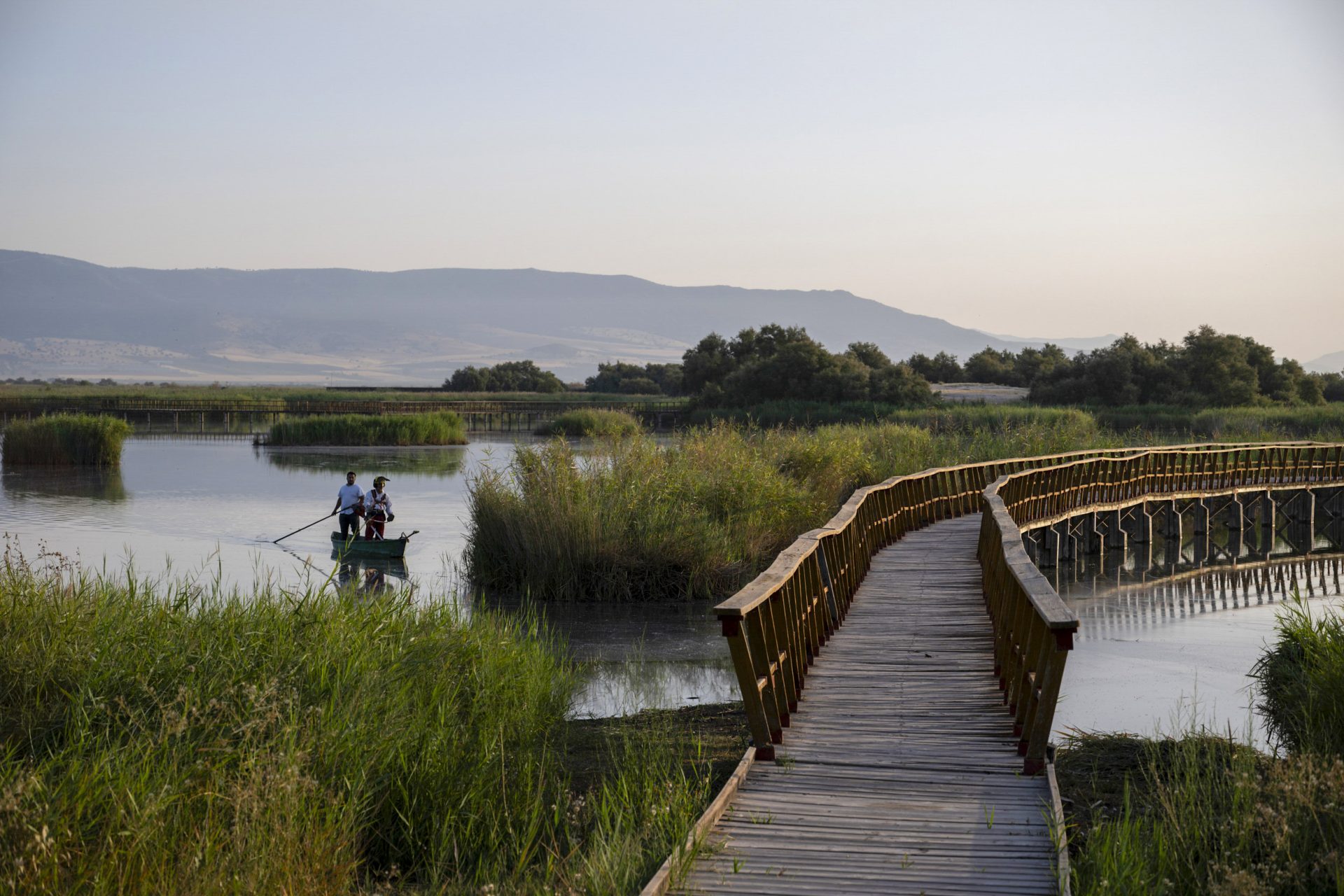 DAIMIEL (ESPAÑA), 18/09/2026.- El Parque Nacional de Las Tablas de Daimiel contaba a 1 de septiembre con 523 hectáreas inundadas, el 30,16 % de las 1.734 hectáreas susceptibles de estarlo, según el último informe de sequía elaborado y publicado por la Confederación Hidrográfica del Guadiana (CHG) y consultado este viernes por EFE. EFE/ Jesús Monroy