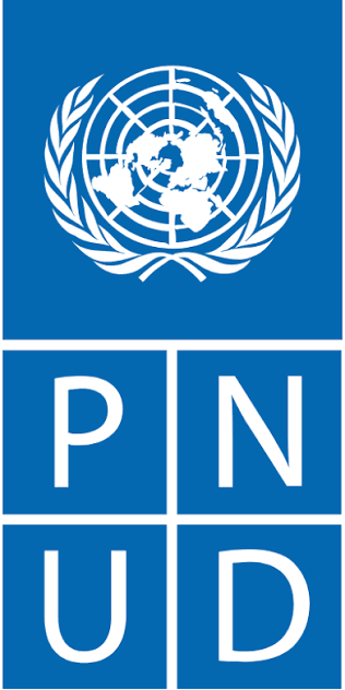 Logotipo del Programa de las Naciones Unidas para el Desarrollo (PNUD)